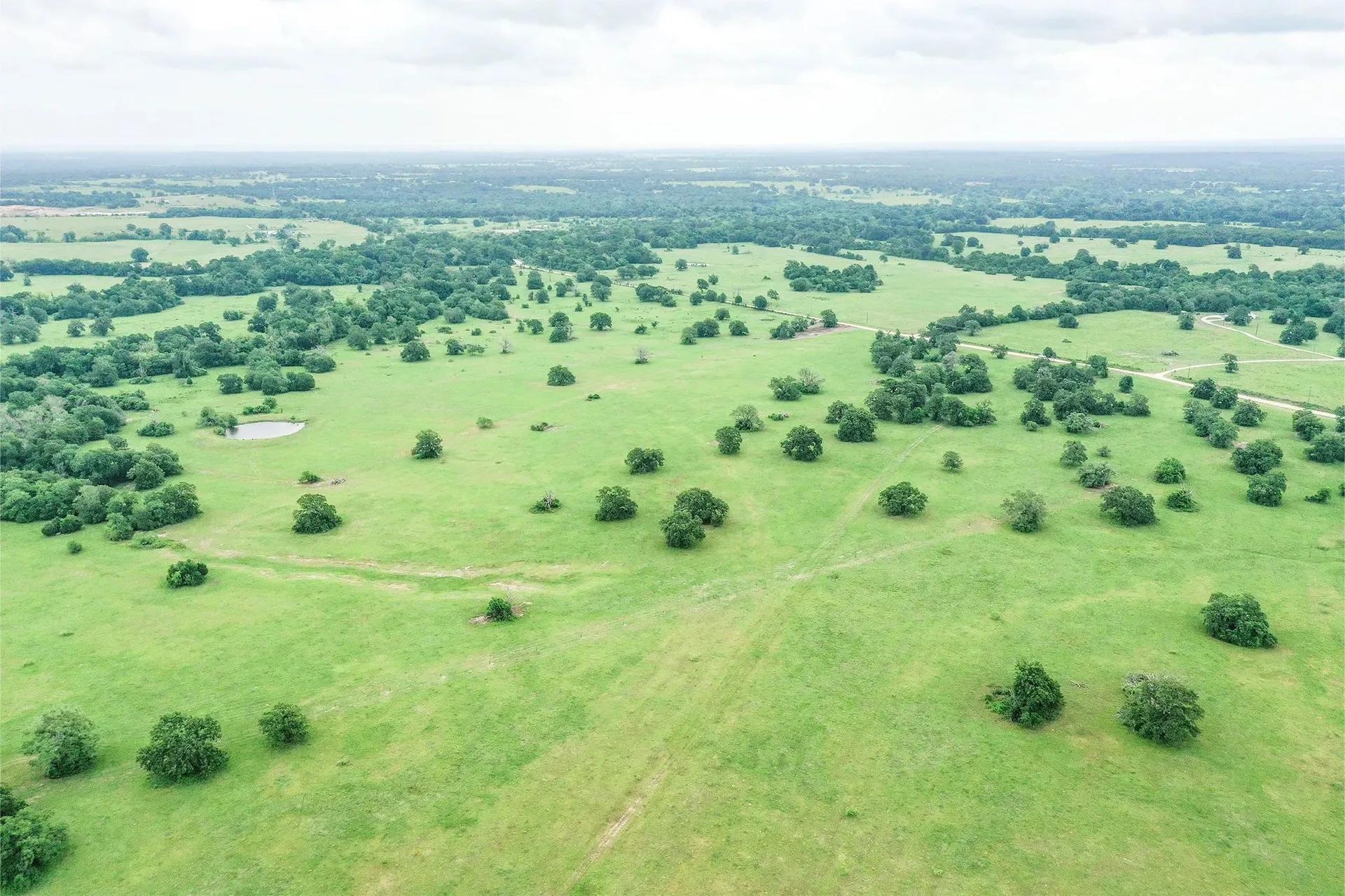 17403809-9