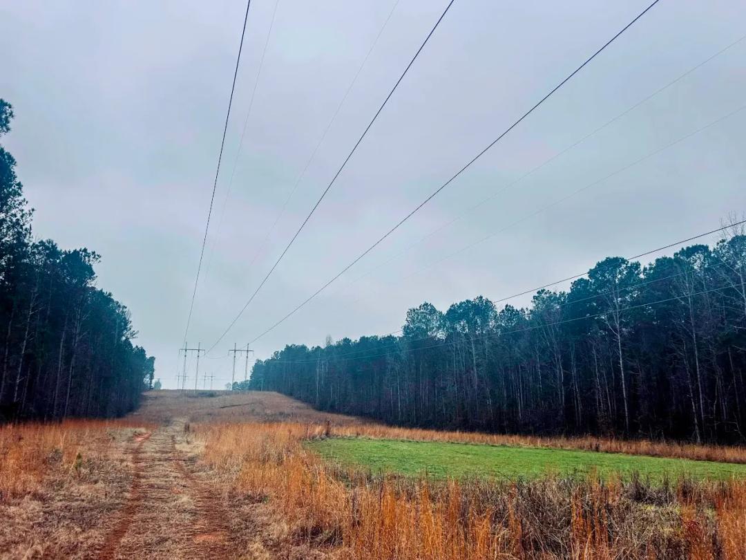 55.00 Acres at 277 Pettigrew Road