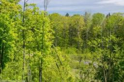 maine-land-for-sale-in-ph-1