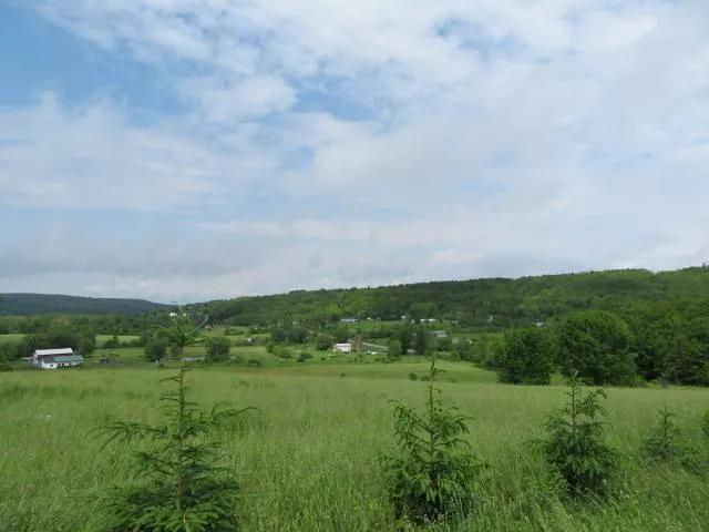17465477-0
