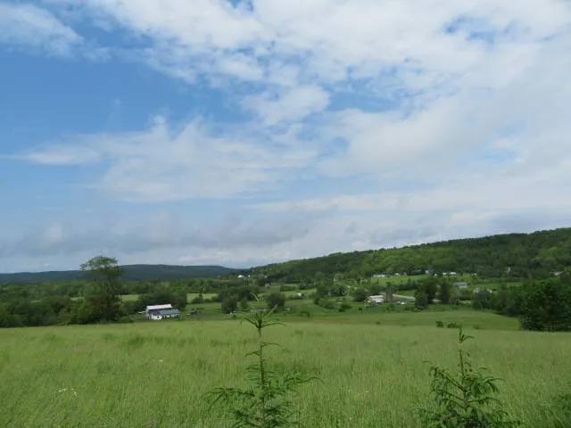 17465477-1