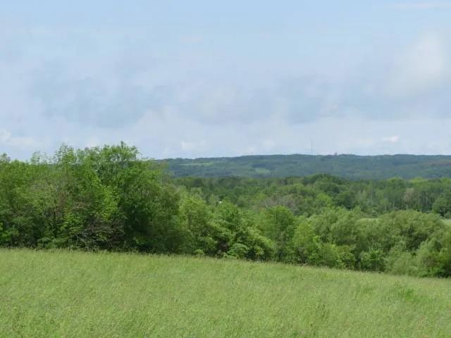 17465477-3