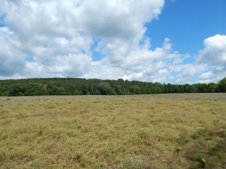 80 Acres Prime Land