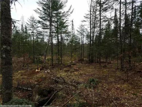 Maine Land for Sale in Enfield