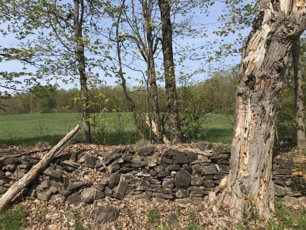 17495973-31