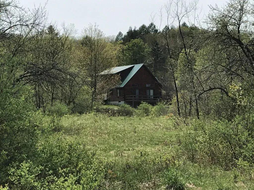17495973-33