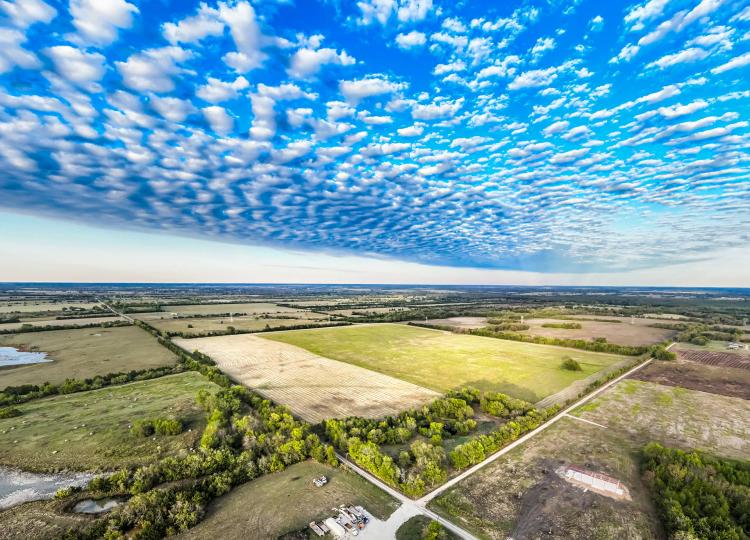 Pasture and Ranch Land For Sale in NE TX