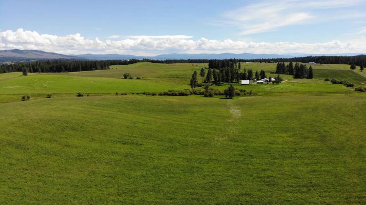 Kamiah Caribel Farm