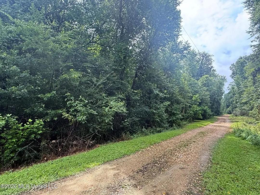 Waterfront Lot on the Bogue Chitto River Summit, MS 