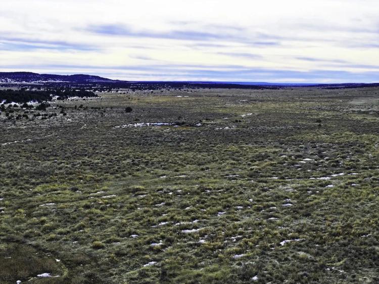 Homestead Ranch