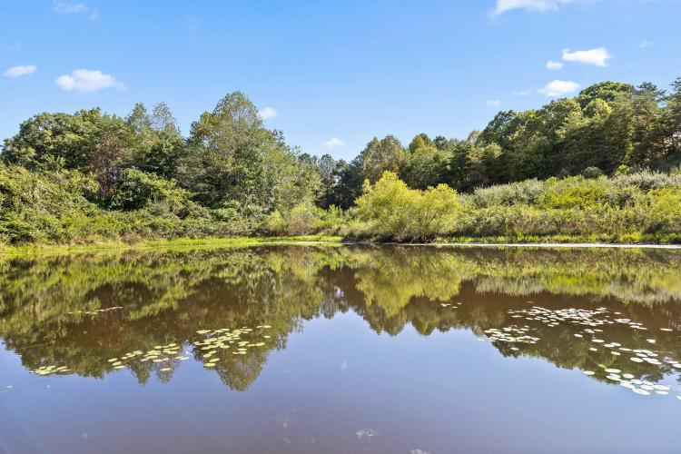 POND ON 23 +/- UNRESTRICTED ACRES