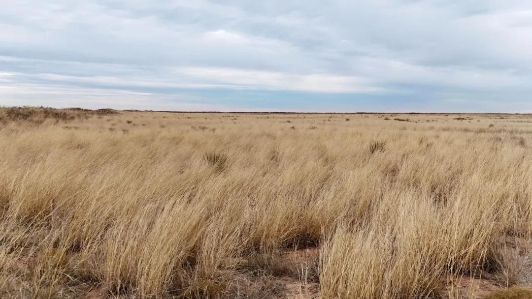 640± Acres Lea County