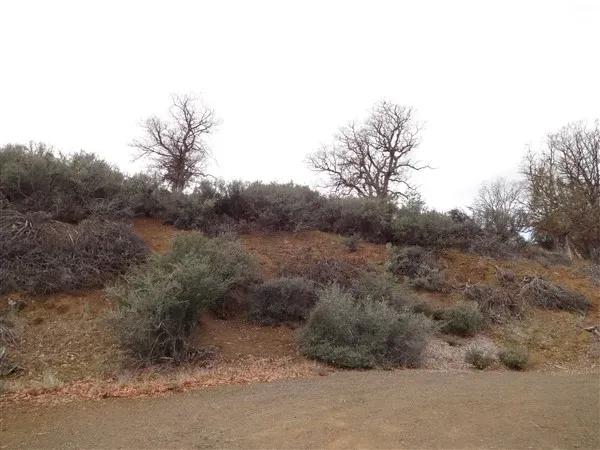 L40003- 1.4 Acres in KCRE feet from the Klamath River, Siskiyou County, CA $14,999