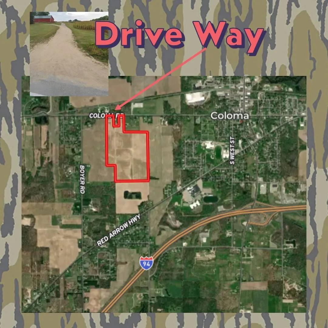 17645044-4