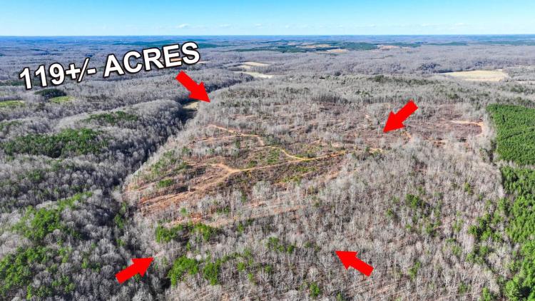 119.85 Acres at 410 Megan Lane