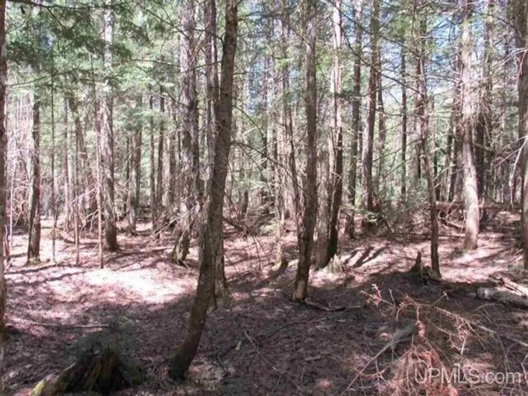 Michigan 80 Acre Property 50162405
