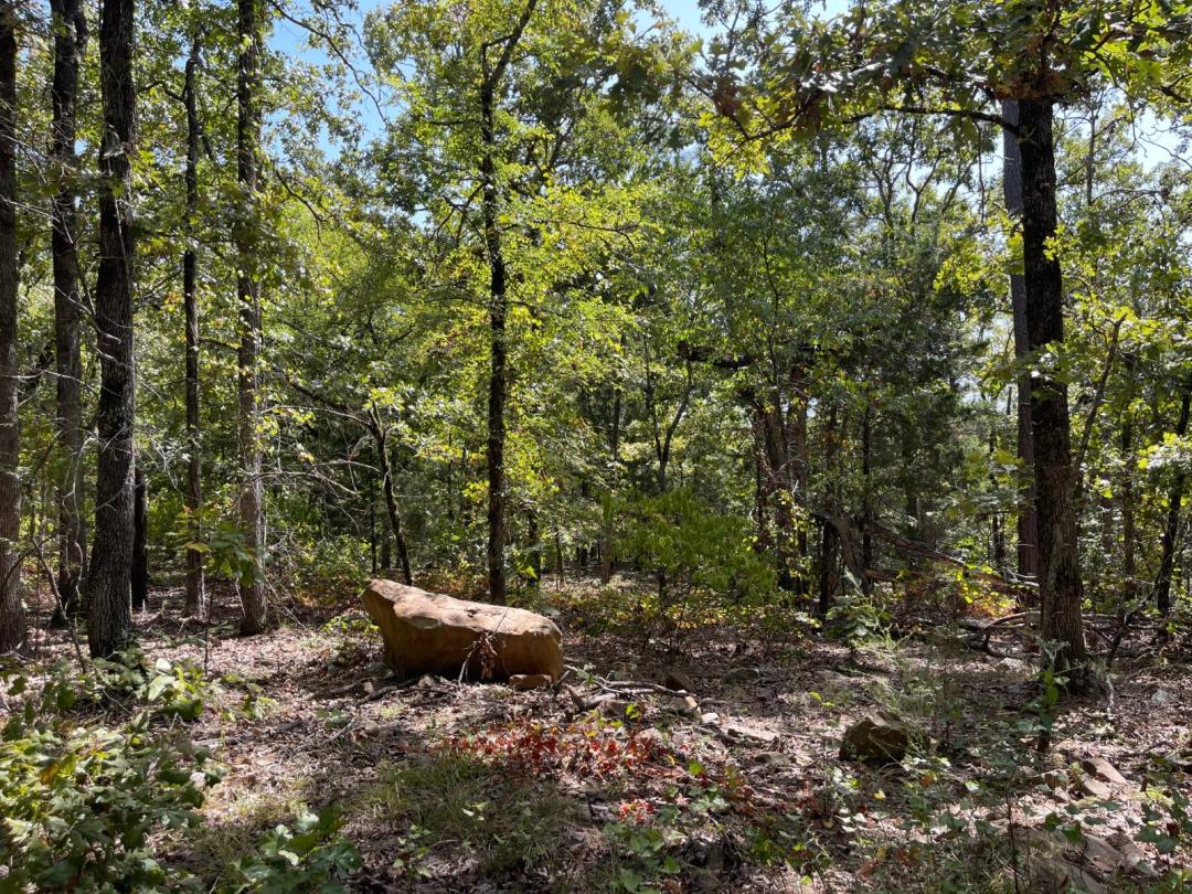 Your own private escape to nature