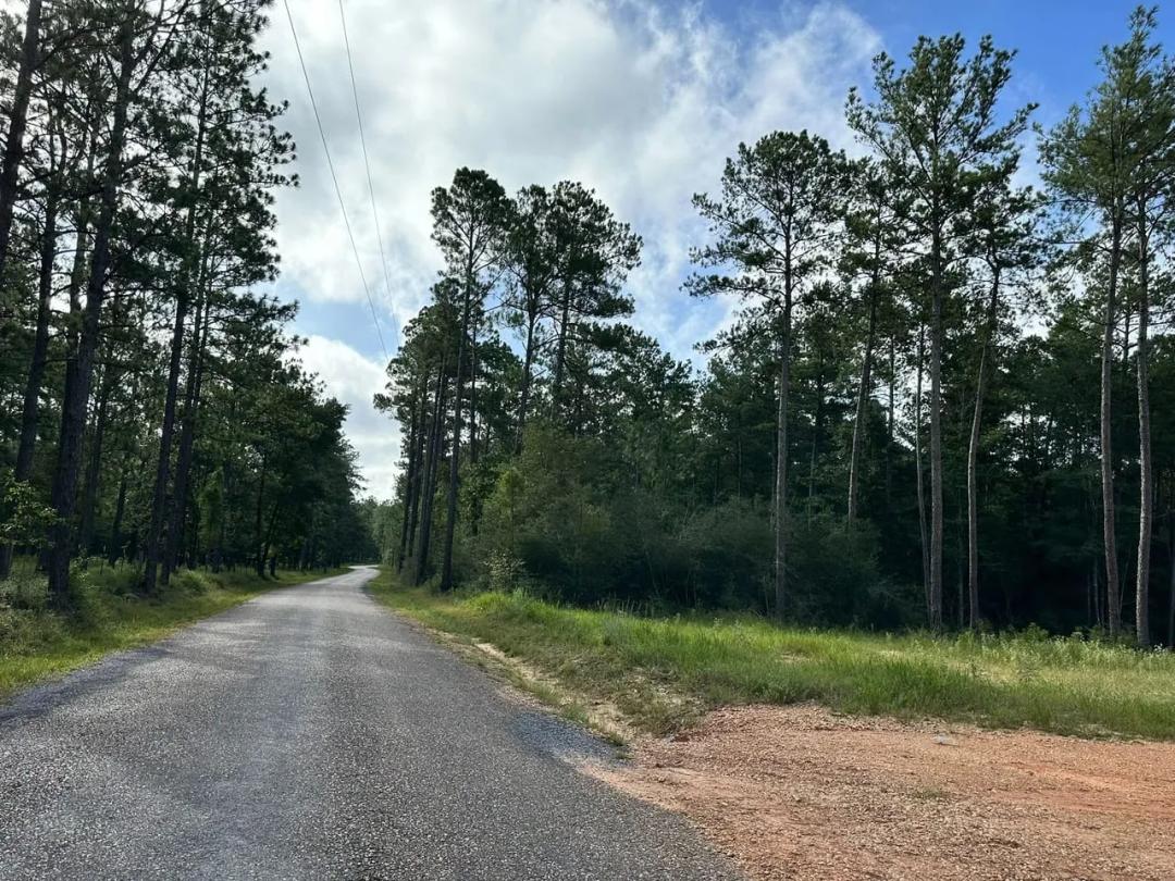 170.00 Acres at 303 Simms Road