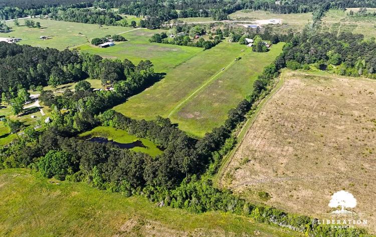 DAYTON Tract 14 | 11+ Acres | Only $15K Down