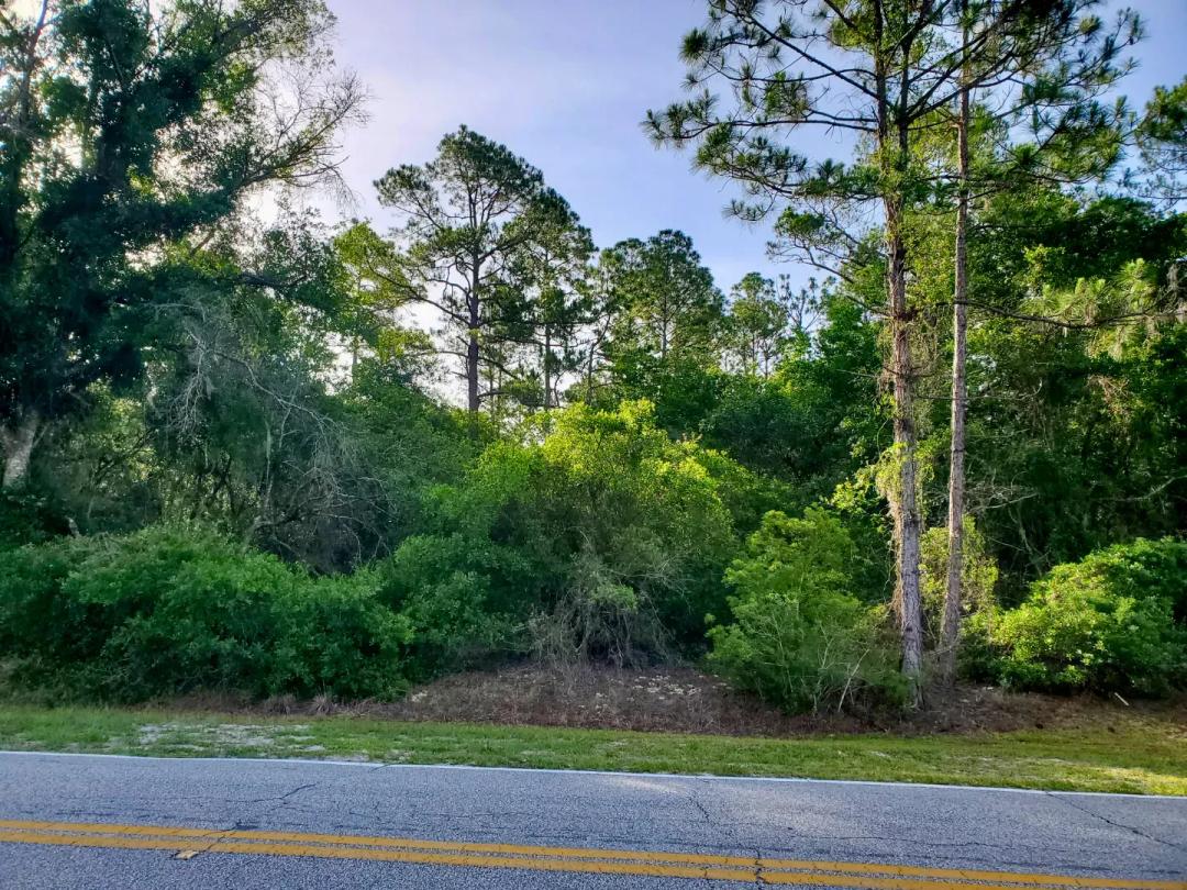 Fantastic Building Lot with Power