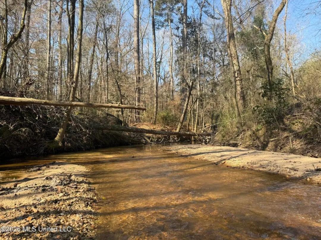 Land for Sale in Simpson County