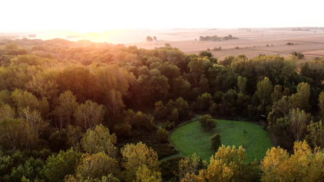 Mercer County, Illinois 210 Acres For Sale(PRICE REDUCED)