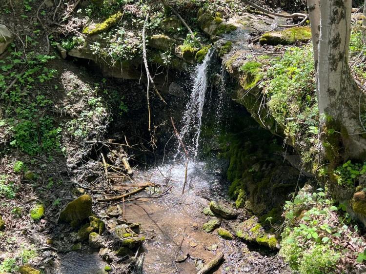 Kelly Hollow Rd., Allegheny County - 160 +/- acres