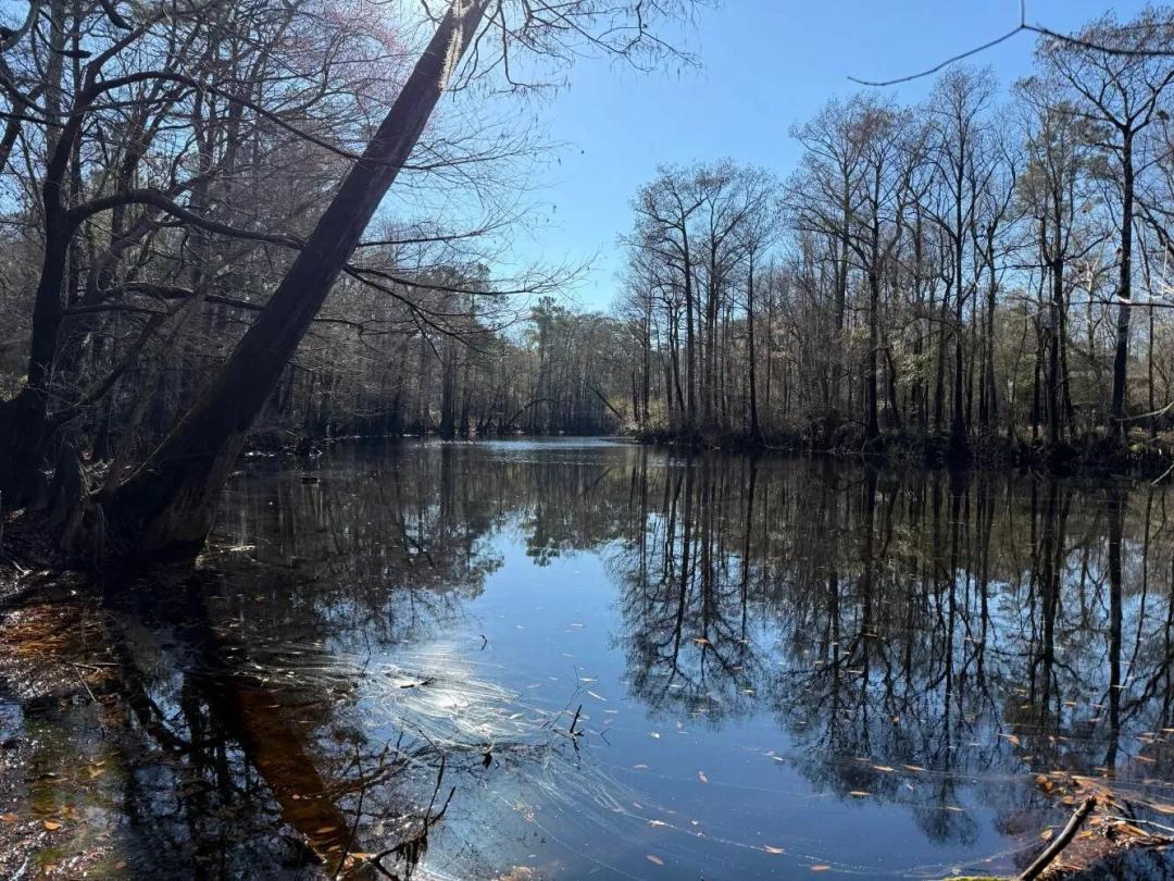 Horseshoe Lake Homestead and River Access