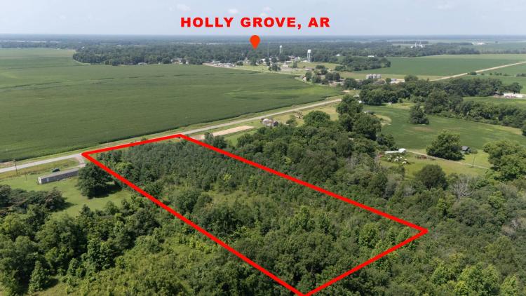 The Grove Tract