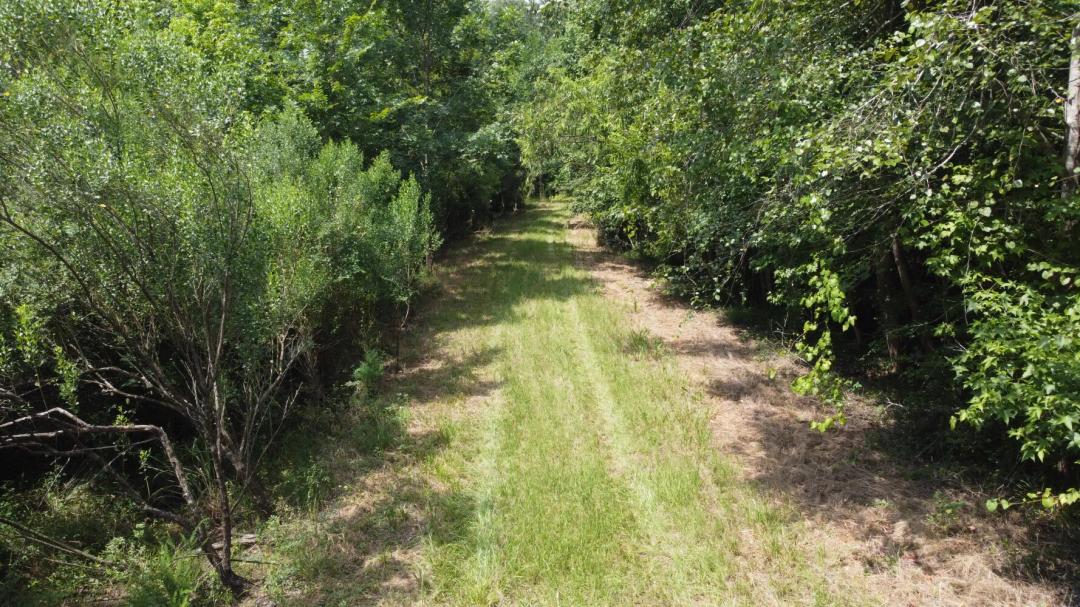 204.94 Acres at 0 Rudd Rd