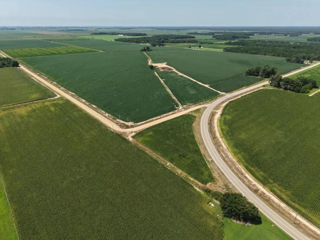 Land Auction in Greene County AR