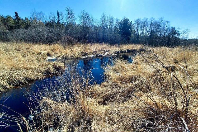 29 Acres of Hunting Land Near Tomahawk- Creek Frontage
