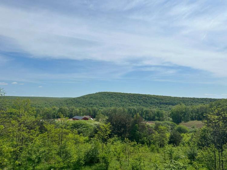 Crumb Rd - Cairnbrook - Somerset - 47 +-