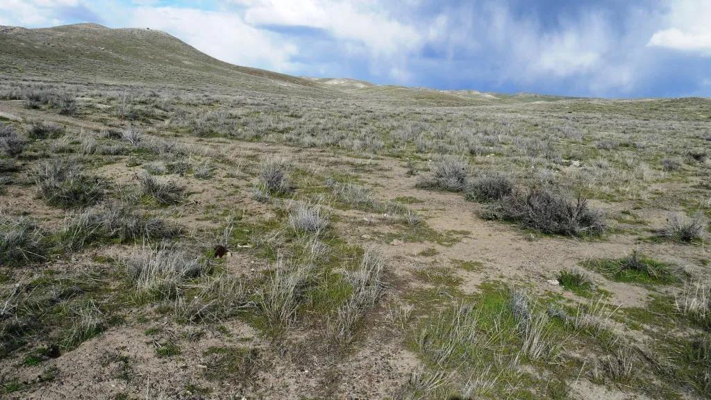 Rolling Hills - Views - Near the North Fork of Humboldt River