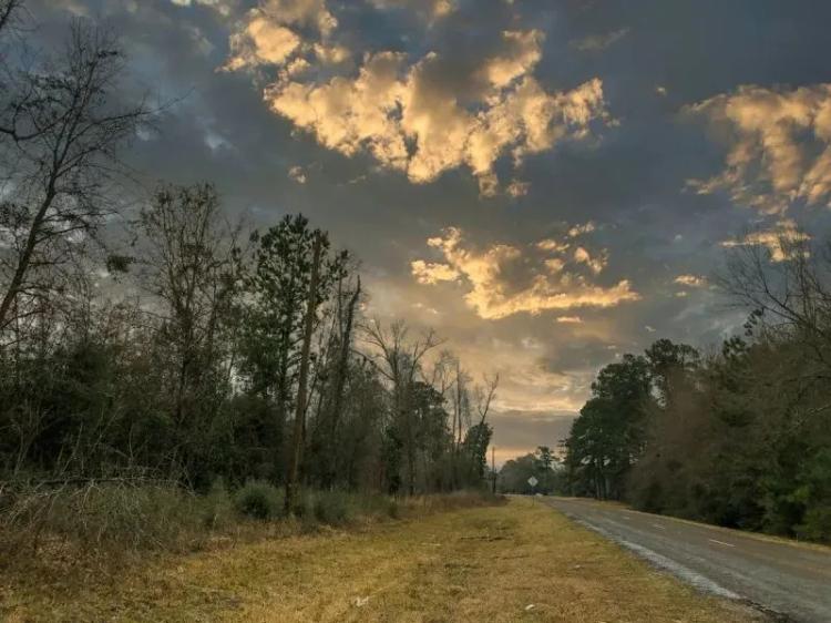 11 Acres | A7 | FM 2937
