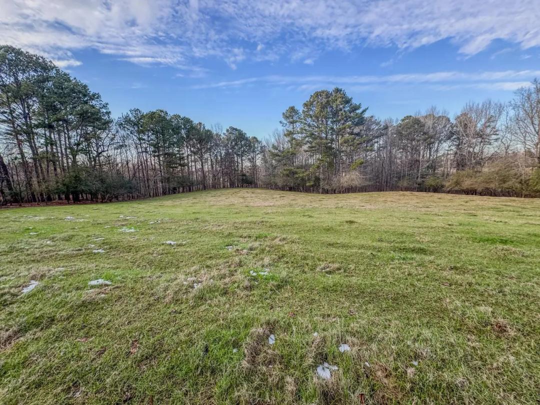 Alabama Horse and Cattle Ranch