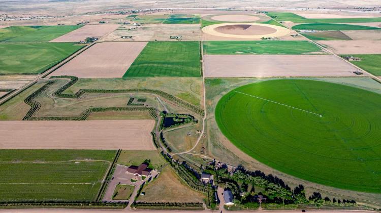Long Meadow Game Resort, Clays Club, & Event Center with Business & 140 Acres For Sale