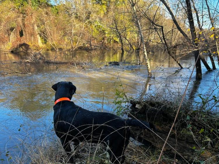 Ochlockonee River Place