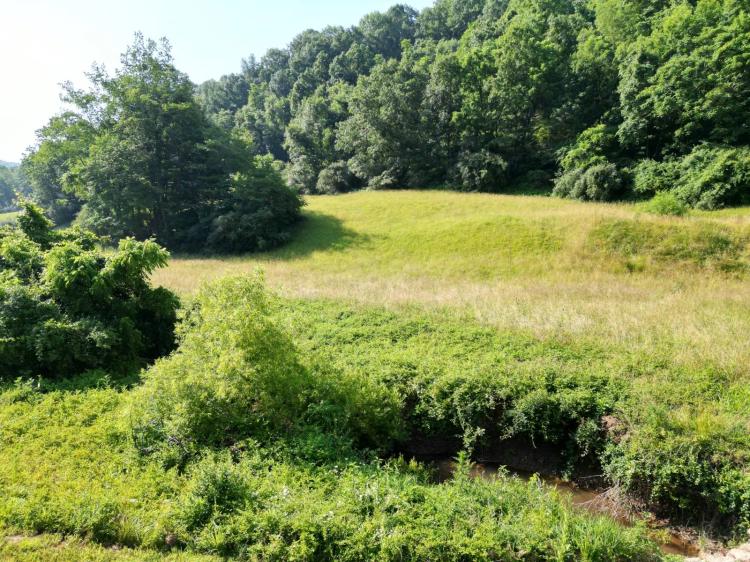 6.43 Acres at 001 Brooks Road
