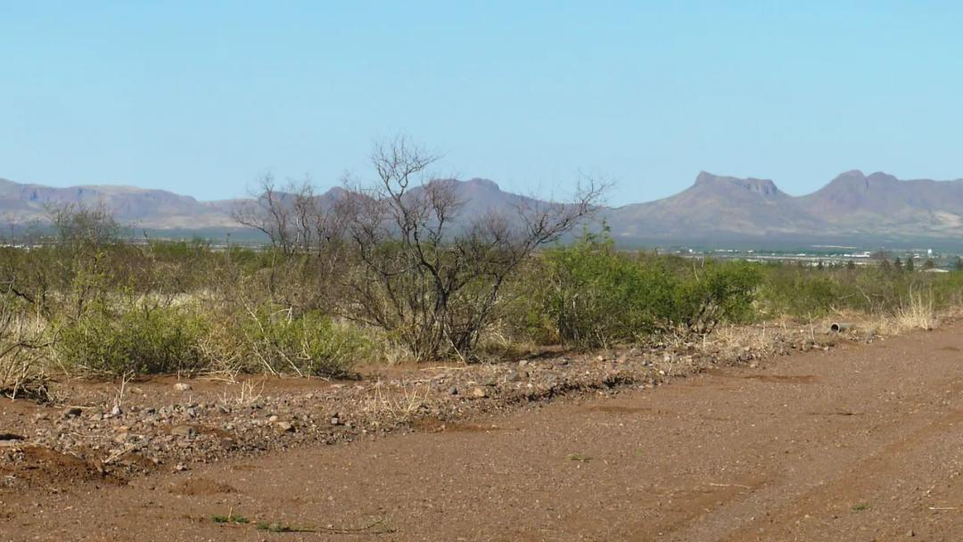 Mobiles Modulars Allowed - Southern Arizona - Several undeveloped Lots Available