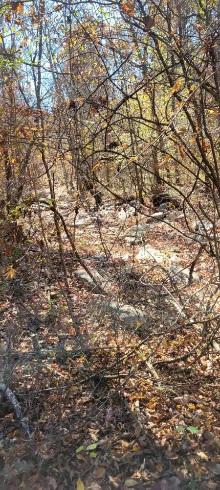 821.00 Acres at 0 HWY 72