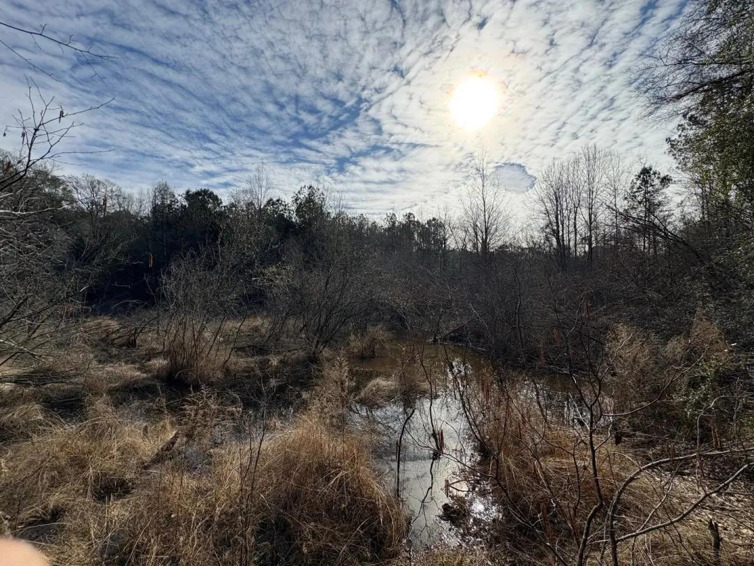 Ard Creek Tract