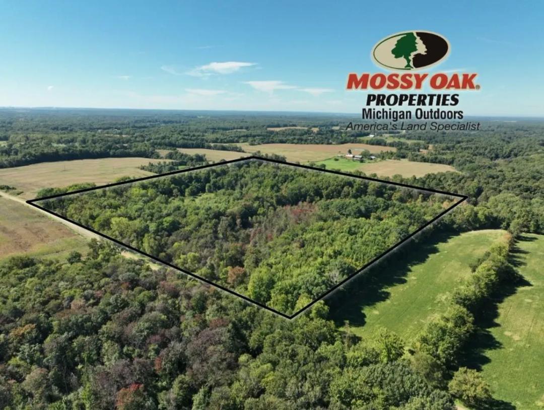 Berrien County 40 +/- Acres 