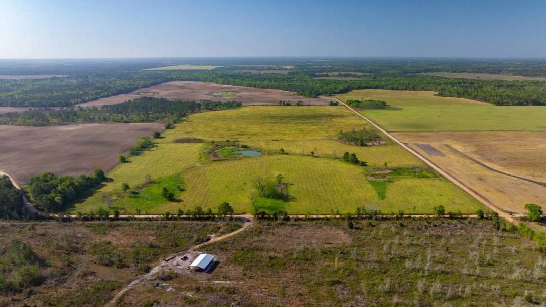 Pasture Tract - Tison Estate - 109± Total Acres