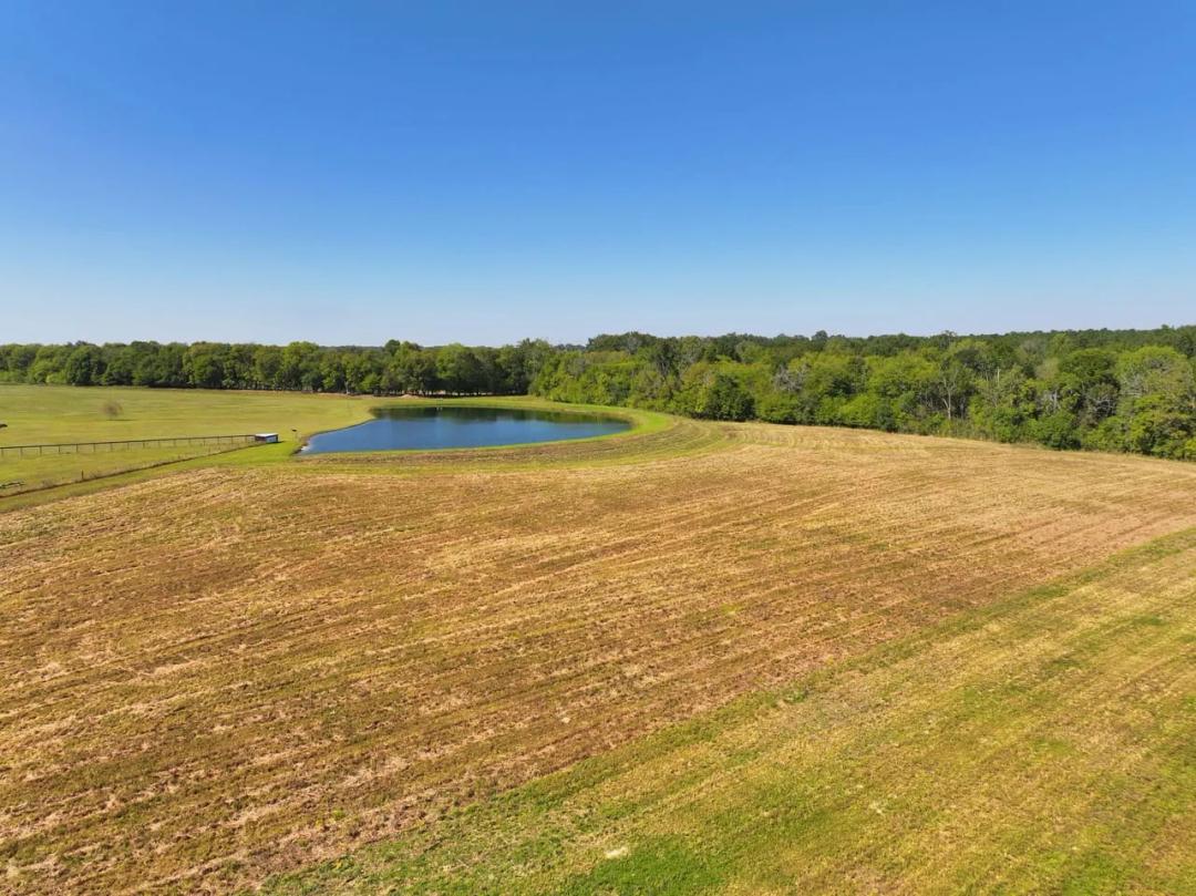 Gorgeous Open Meadow Homesite in Pike Road! 