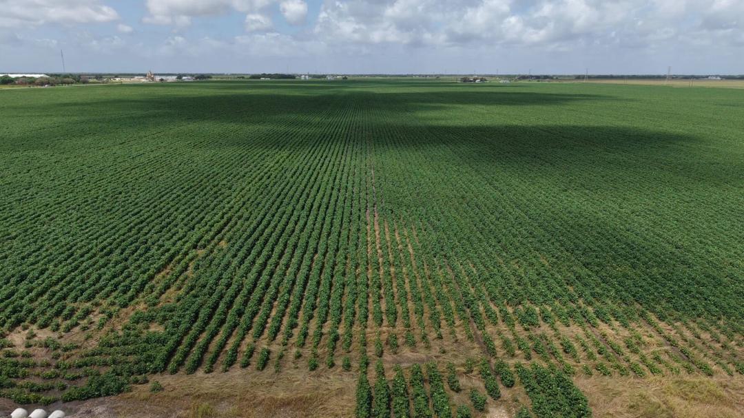398.00 Acres at 0 Hwy 35