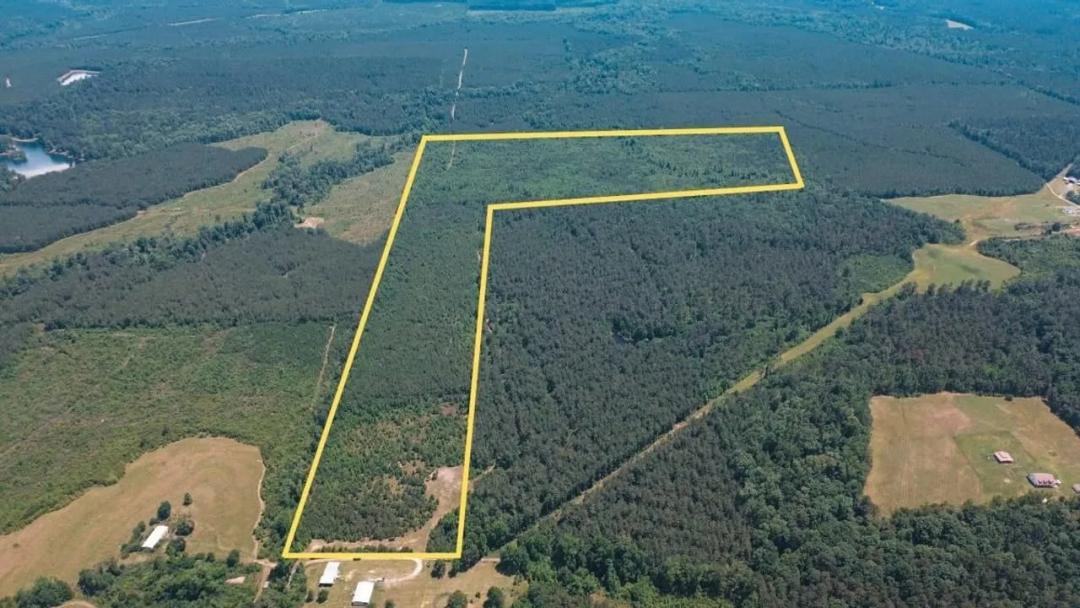 Weston 112 – Timber & Hunting Land in Jackson Parish, LA