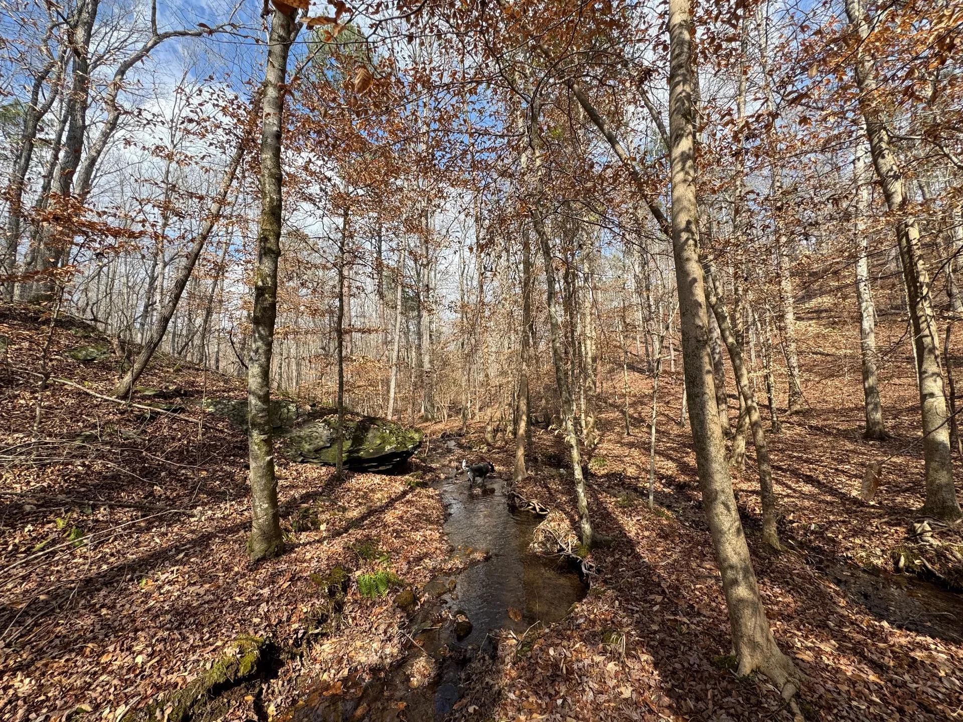 18125382-1