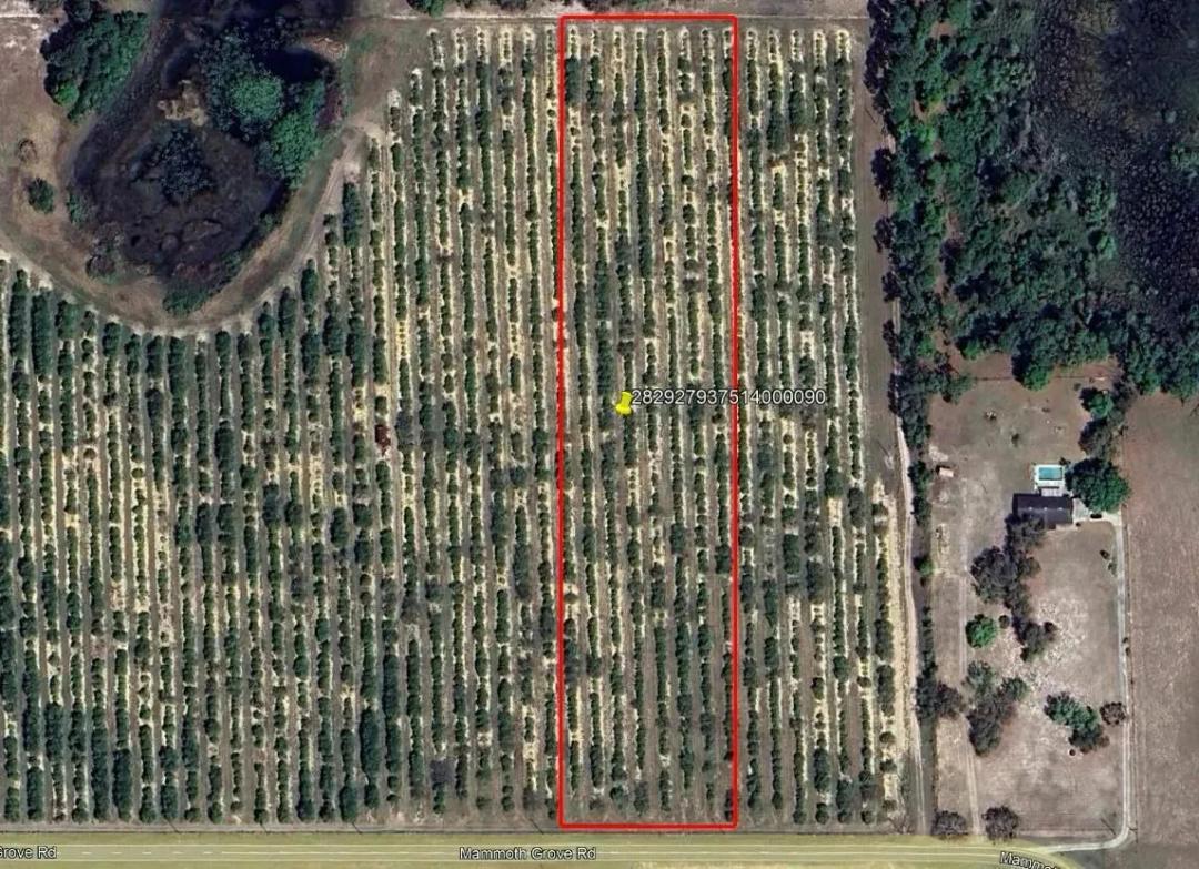 Mammoth Grove Road Lot 9