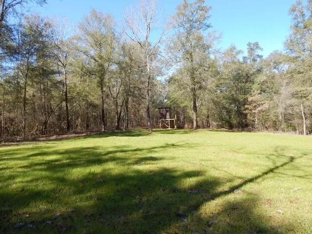 310.00 Acres at 0 Broad Branch Rd
